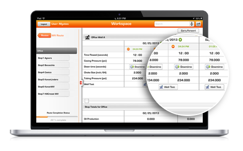 Customize Data Fields