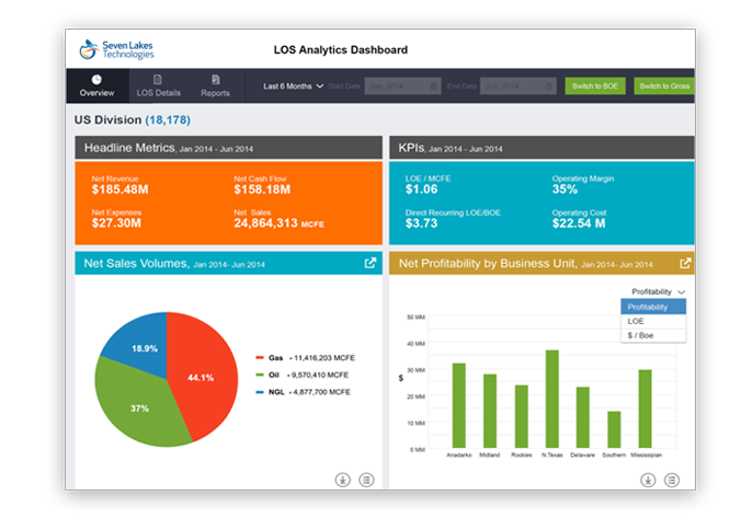 Lease Operating Statement